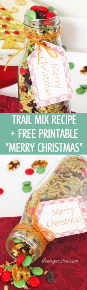 Easy Snack Recipe: Trail Mix + Free Printable Christmas Tags by ilonaspassion.com I @ilonaspassion
