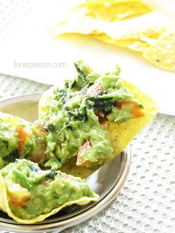 Mild Avocado Dip made with only 3 ingredients by ilonaspassion.com