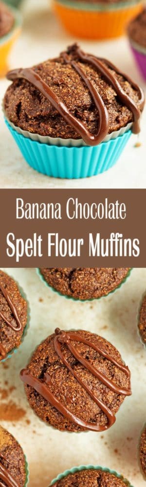 Banana Chocolate Spelt Flour Muffins - Healthy and moist banana chocolate spelt flour muffins made with greek yogurt, cacao and apple sauce. No oil in these yummy chocolate muffins! by ilonaspassion.com I @ilonaspassion