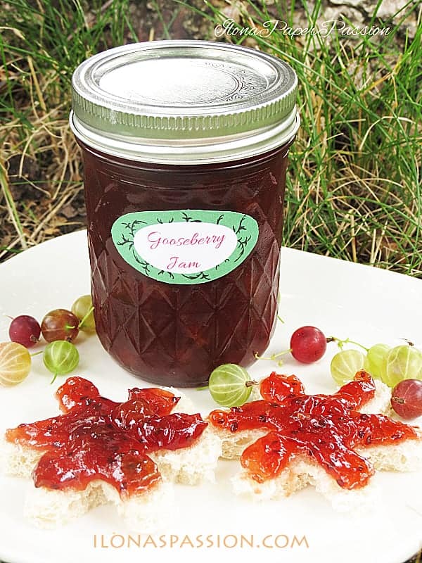 Gooseberry Jam Recipe by ilonaspassion.com