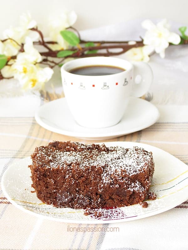 Coconut Flour Brownies