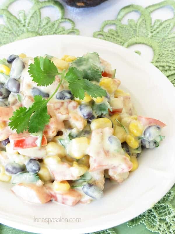 Mexican Salad with Avocado Dressing by ilonaspassion.com