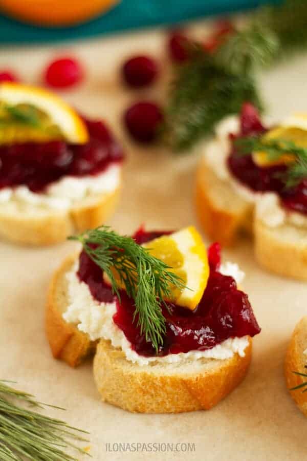 Farmer’s Cheese and Cranberry Appetizer