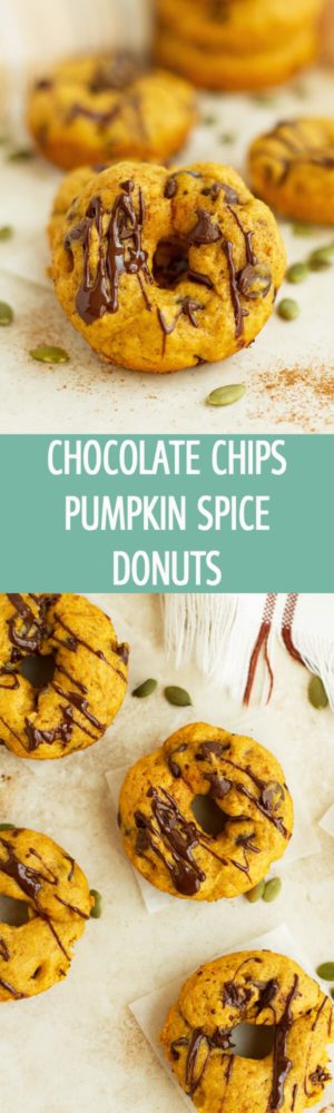 Baked mini Chocolate Chips Pumpkin Spice Donuts is the perfect recipe for fall party. Great for after school treat as well! by ilonaspassion.com I @ilonaspassion