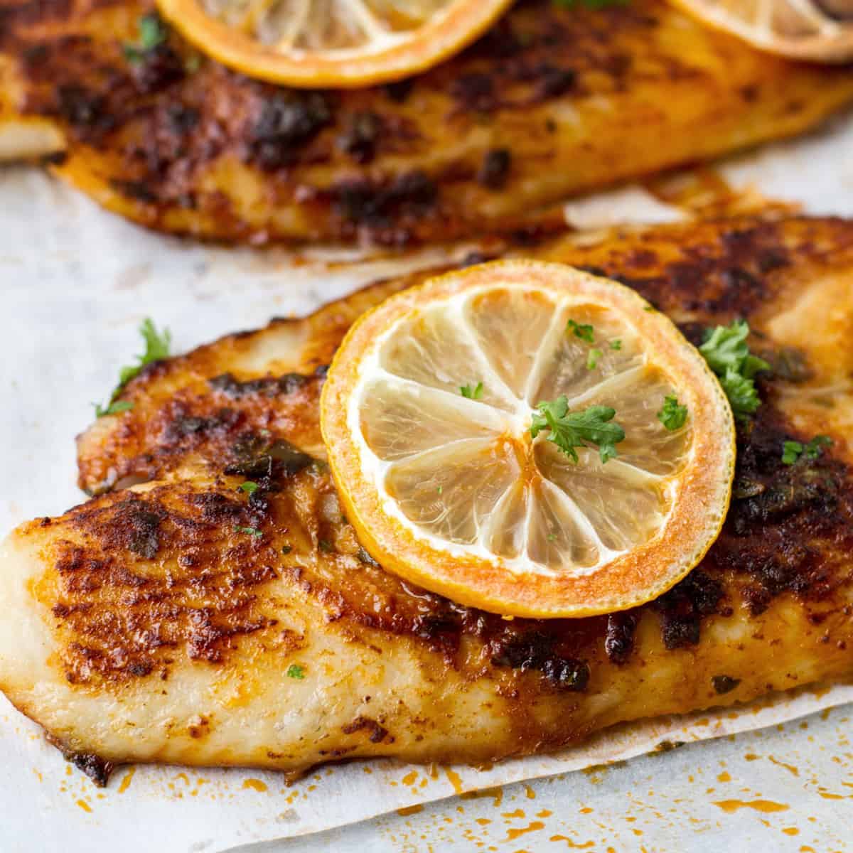 Fish Fillet Recipe